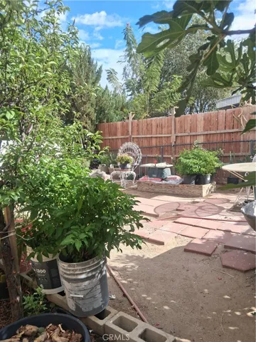 back yard