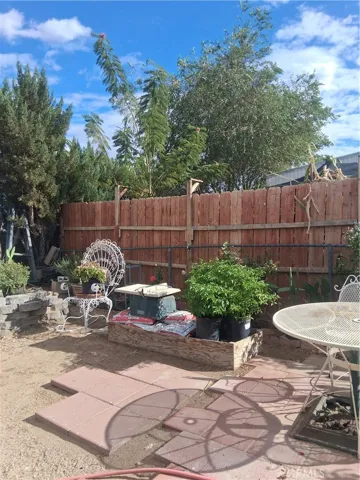 back yard