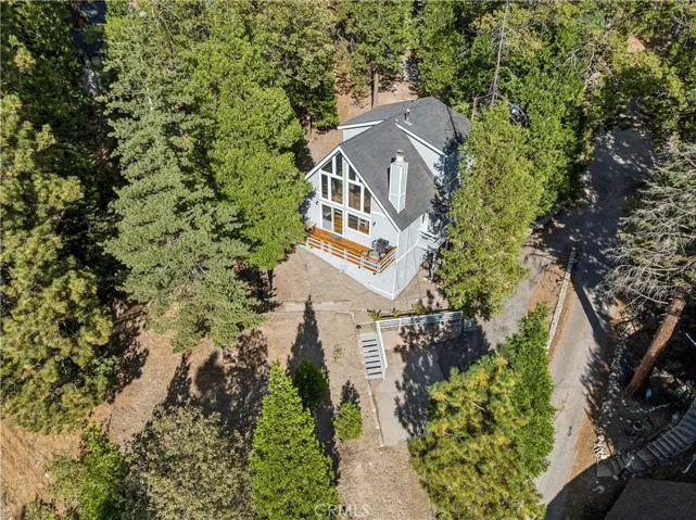 Drone Perspective