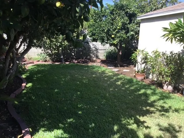 6 fruit bearing trees