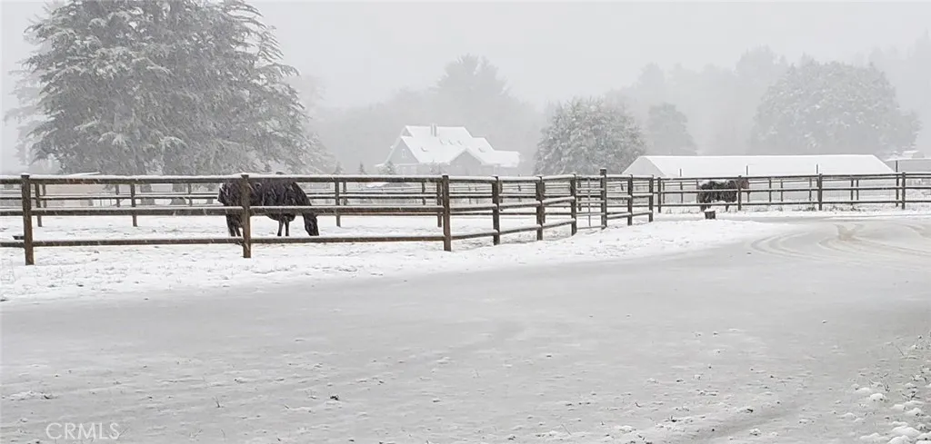 it snowed one year