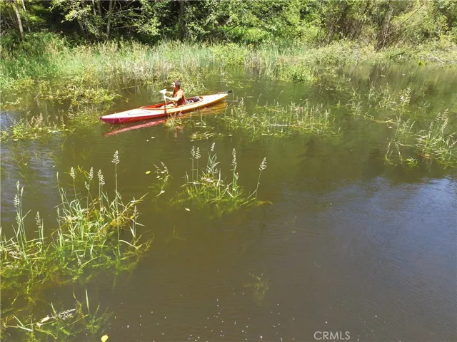 pond by the cabin