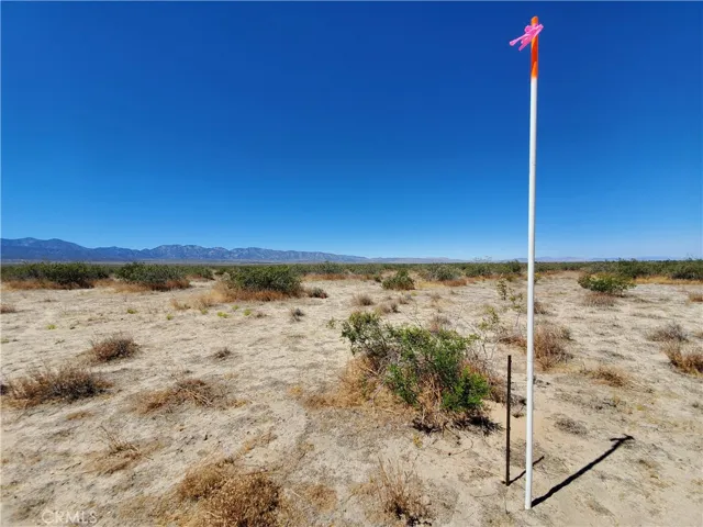 4 Ac 200th Street E, Llano, California 93544 — photo 5