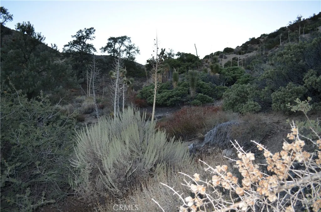 1736 Verde, Pinon Hills, California 92372 — photo 4