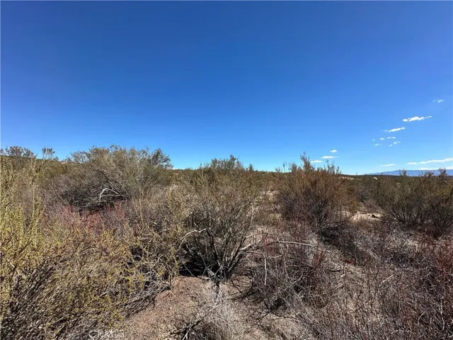 20 Sabina Drive, Hemet, California 92544 — photo 4