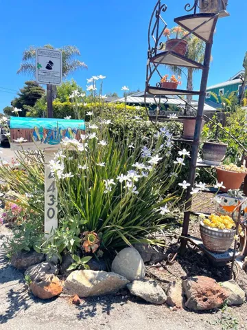 4430 Portola Drive, Santa Cruz, California 95062 — photo 4
