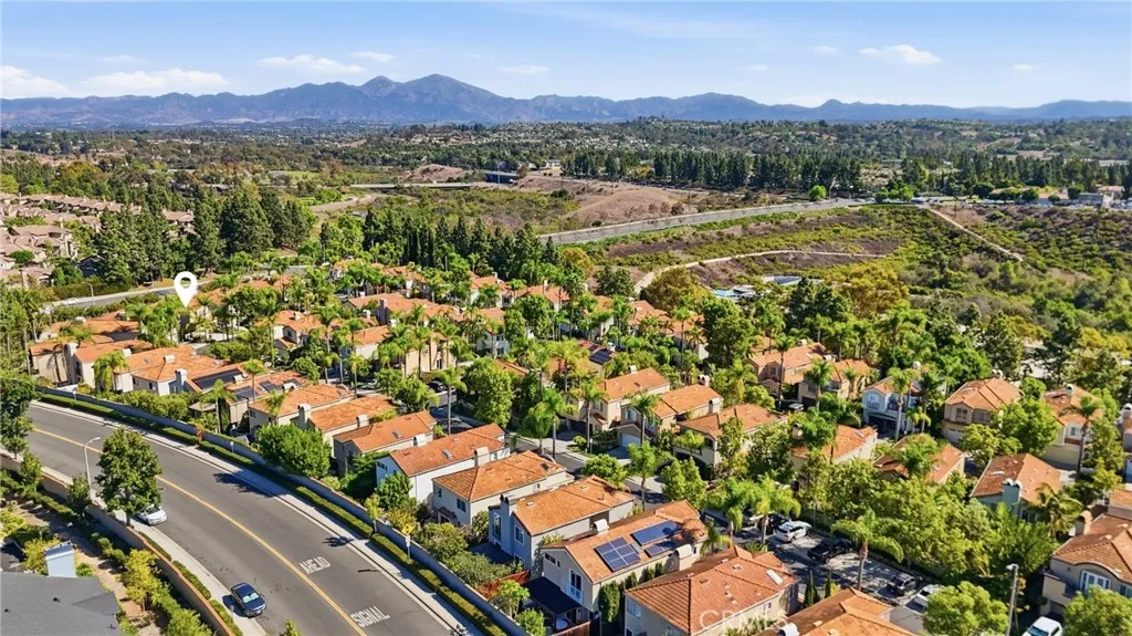 Aerial View of Neighborhood