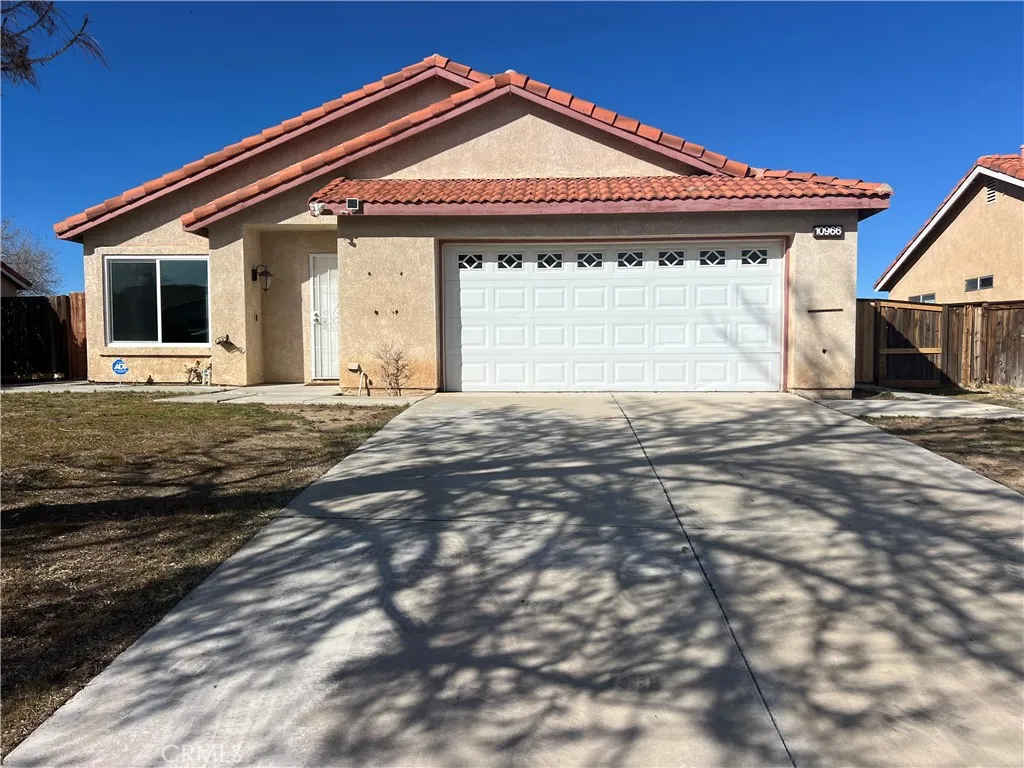 10966 Willow