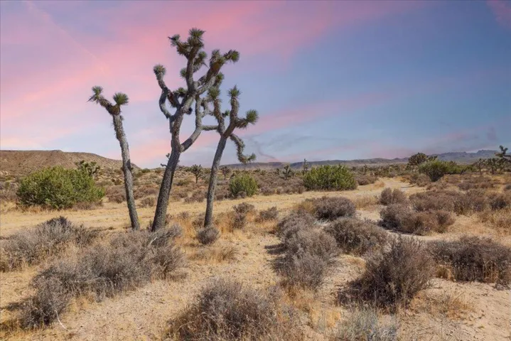 0 Gods Way Love Road, Pioneertown, California 92268 — photo 4