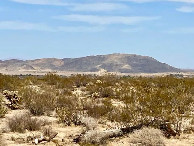 117 Border Road, Joshua Tree, California 92252 — photo 4