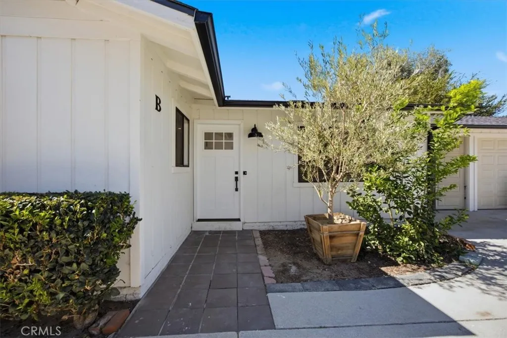 /unit B-Olive Tree will be in and woodchipped /unit B-Olive Tree will be in and woodchipped