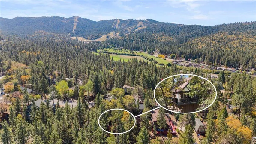 1160 W Alta Vista Avenue, Big Bear, California 92314 — photo 5