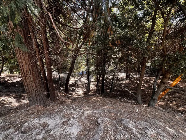 0 Arbula Dr./0 Valle Dr., Crestline, California 92325 — photo 4