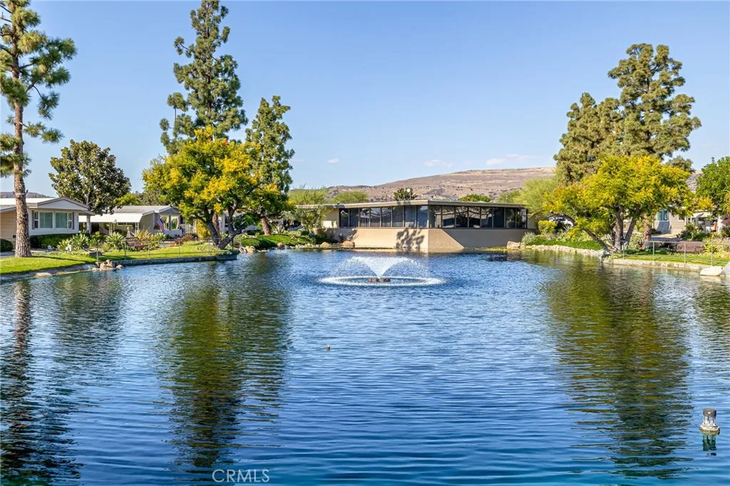 Gorgeous Lake with ducks!
