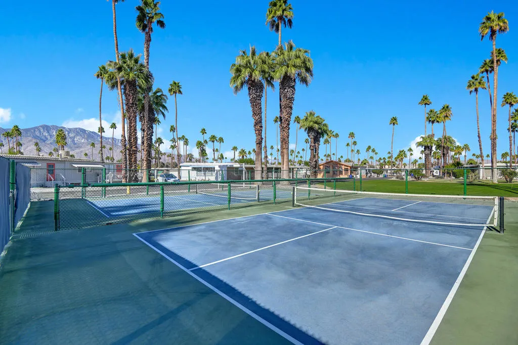 COMMUNITY PICKLEBALL COURT.jpg mls