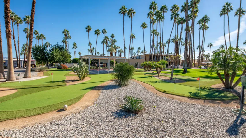 We're Focused Royal Palms (3)
