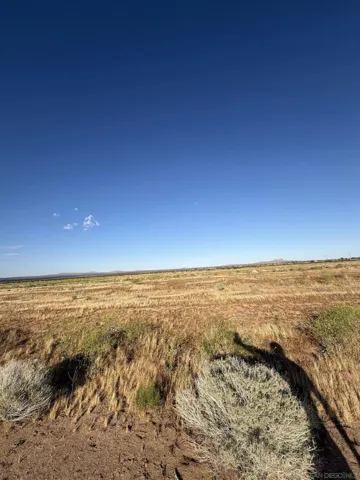 85 Street, California City, California 93505 — photo 5