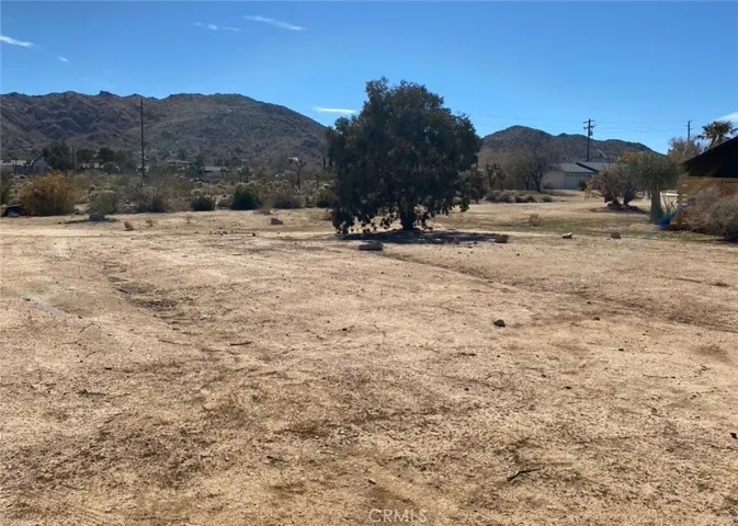 60450 Alta Mesa Drive, Joshua Tree, California 92252 — photo 5