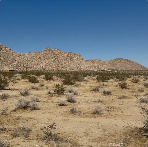 0 Rabbit Springs Road, Lucerne Valley, California 92356 — photo 4