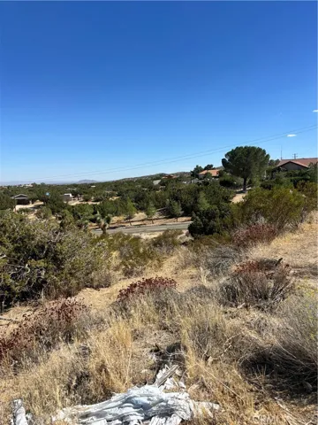 0 Alaga, Pearblossom, California 93553 — photo 4