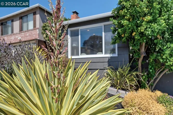 628 Pepper Drive, San Bruno, California 94066 — photo 4