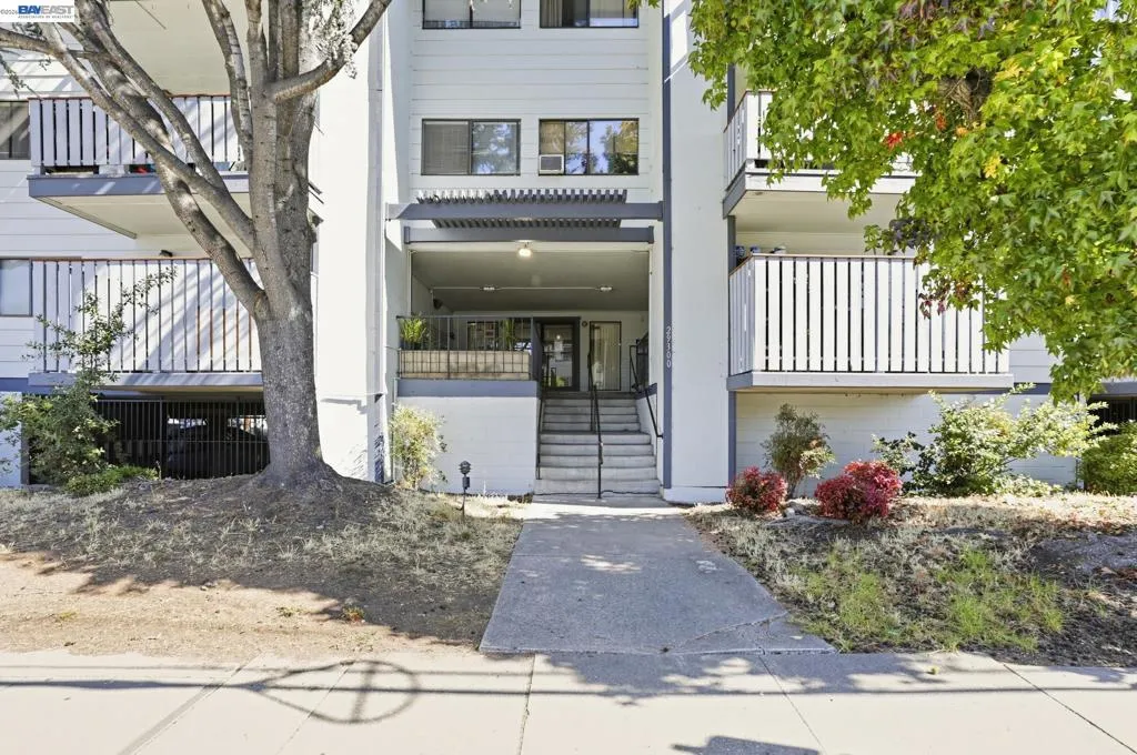 29300 Dixon St #101