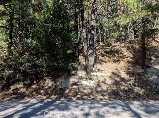 131 Golf Course Road, Lake Arrowhead, California 92352 — photo 5