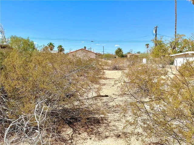5550 Abronia, 29 Palms, California 92277 — photo 5