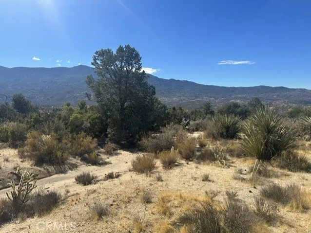 319 Alpine Dr, Mountain Center, California 92561 — photo 5