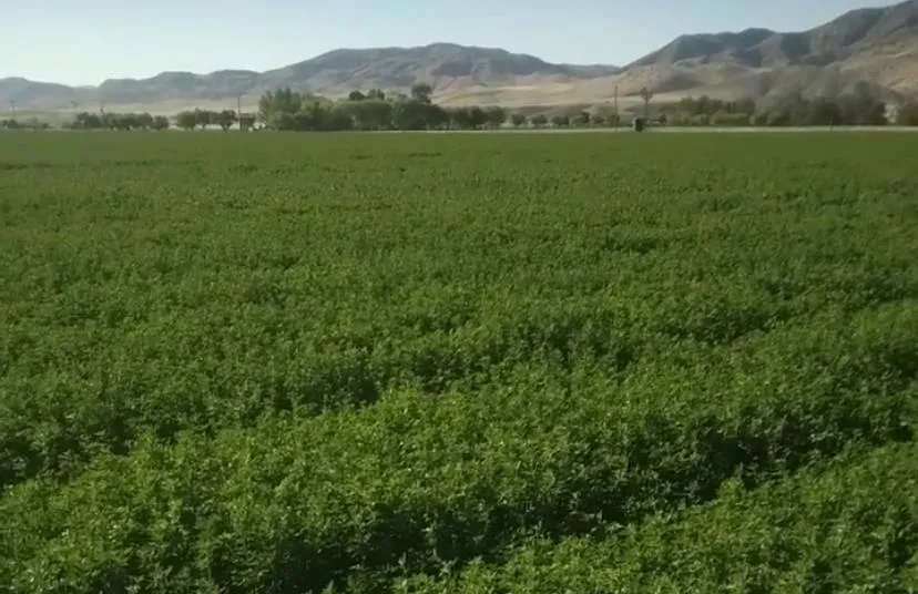 0 Panoche Rd