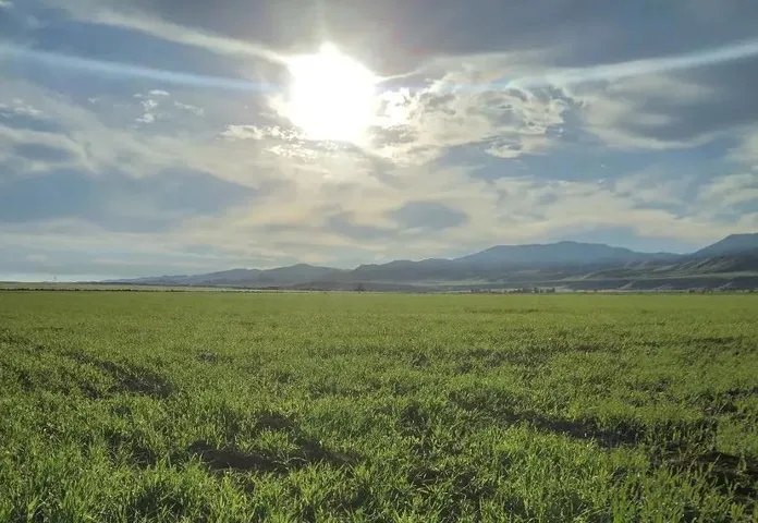 0 Panoche Road, Paicines, California 95043 — photo 5