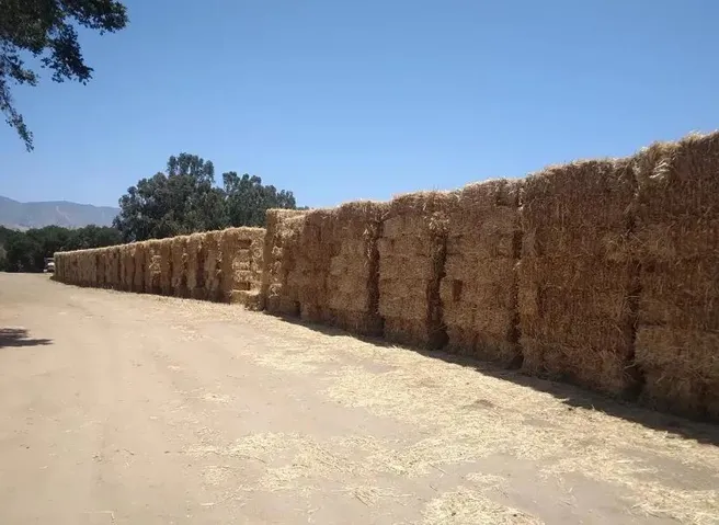 0 Panoche Road, Paicines, California 95043 — photo 4