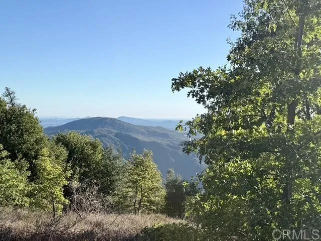 29 Acres East Grade Road, Palomar Mountain, California 92060 — photo 5