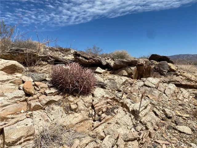 3025 Flamingo Avenue, Joshua Tree, California 92252 — photo 4