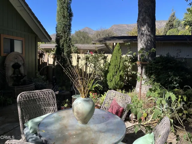 backyard 1