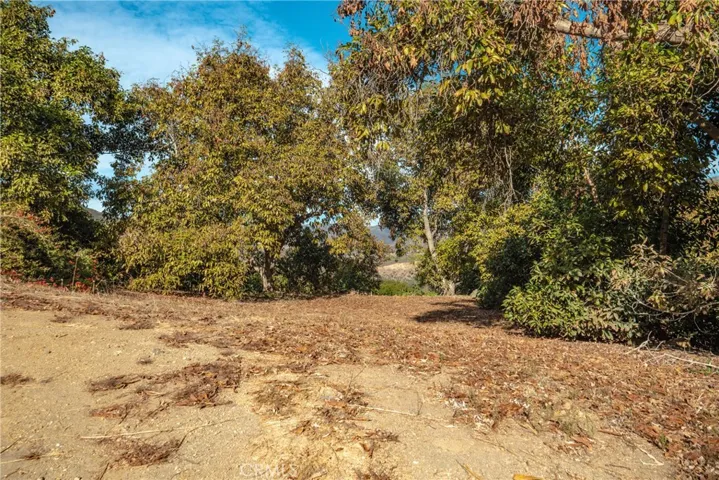 48 Pauma Ridge Road, Valley Center, California 92082 — photo 4