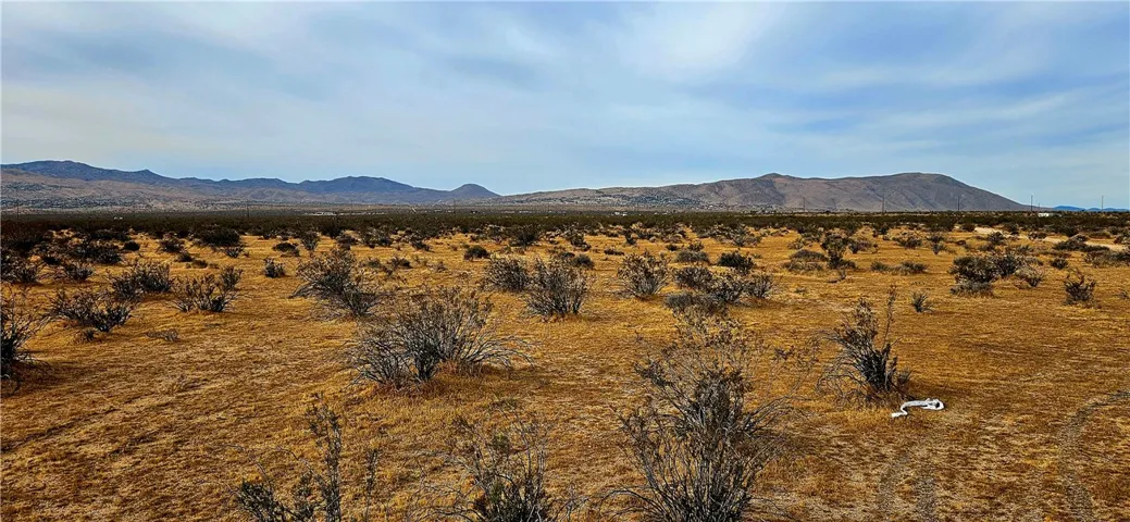 800 Las Tunas Dr., Apple Valley, California 92308 — photo 4