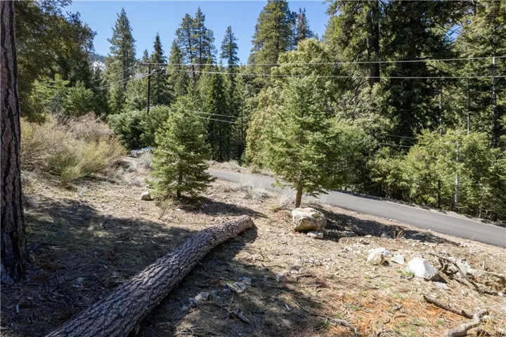 1300 Banff Drive, Pine Mountain Club, California 93222 — photo 5