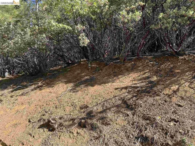 1 0001 Stable, Sonora, California 95370 — photo 5