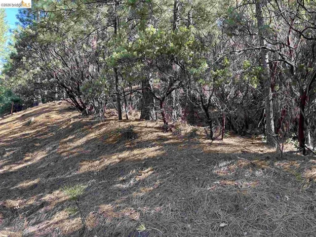 1 0001 Stable, Sonora, California 95370 — photo 4