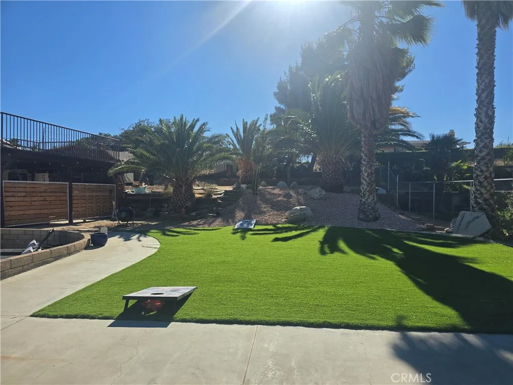 Back yard