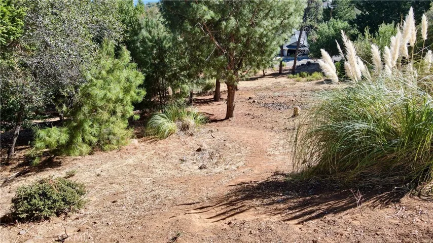 3356 Pine Terrace, Kelseyville, California 95451 — photo 4