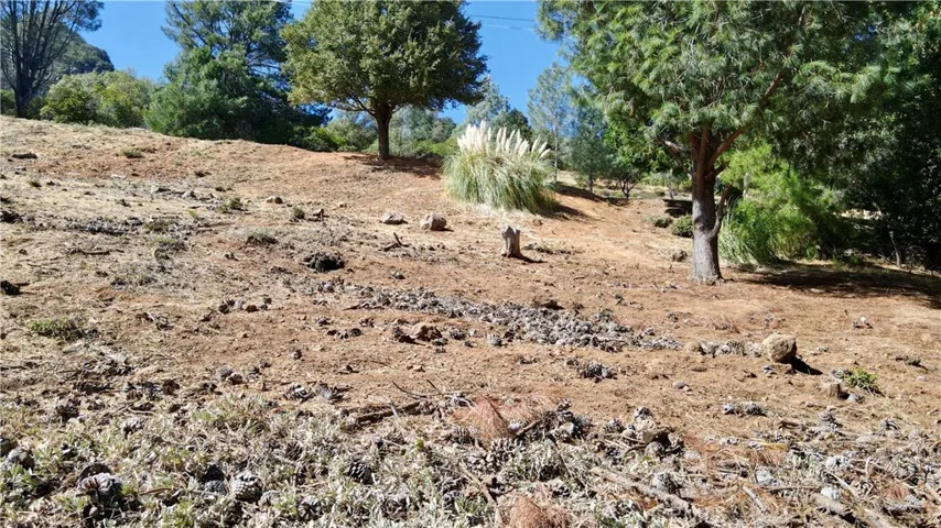 3356 Pine Terrace, Kelseyville, California 95451 — photo 5
