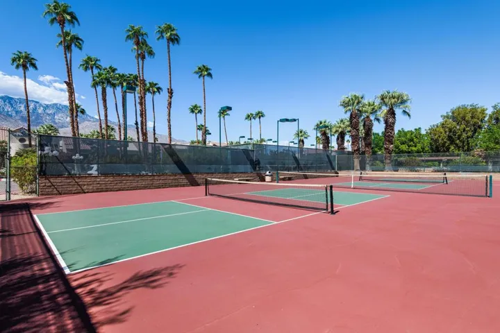Oasis148 OASIS Pickleball