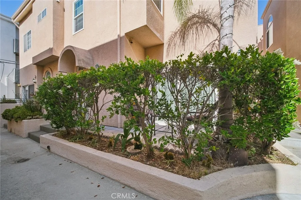 gallery-image 4