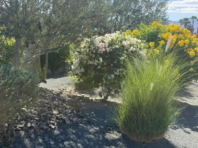 Landscaping