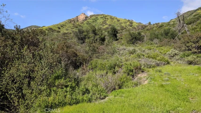 30221 Old Stage Road, Trabuco Canyon, California 92676 — photo 5