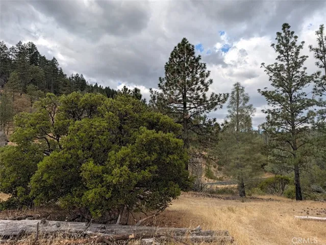14258 Lema Lane, Cobb, California 95426 — photo 4