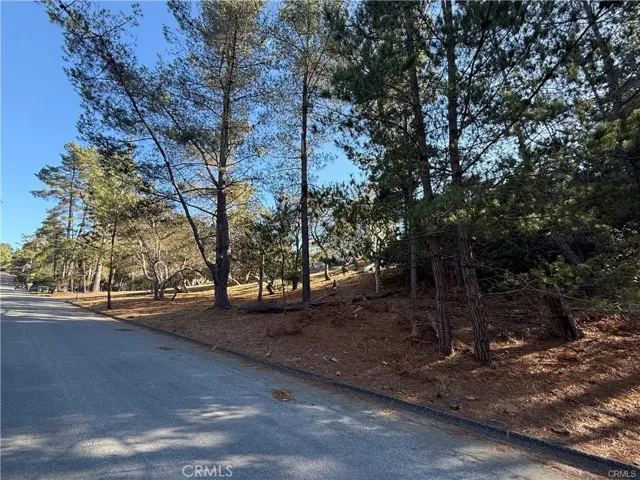 1955 Avon Avenue, Cambria, California 93428 — photo 5