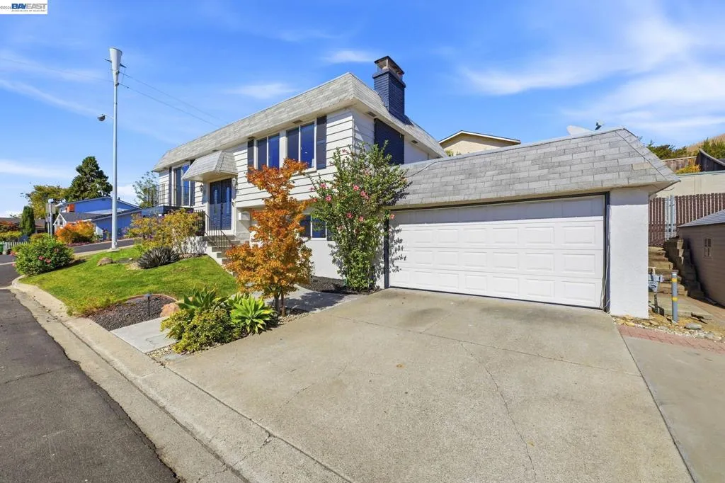 fits 5 cars!